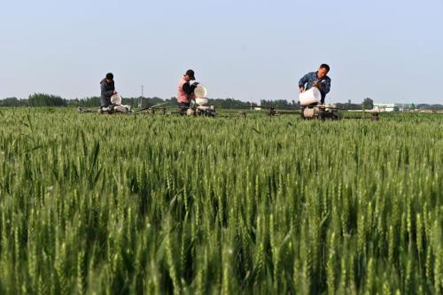 习语 这才是我们强军的魂
