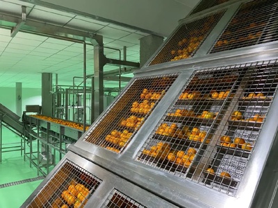 万州柑橘“72变”身价涨:全产业链打造,实现零废弃全果利用