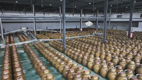活力中国调研行丨沿着东江走出深山,老区农业如何撬开湾区市场
