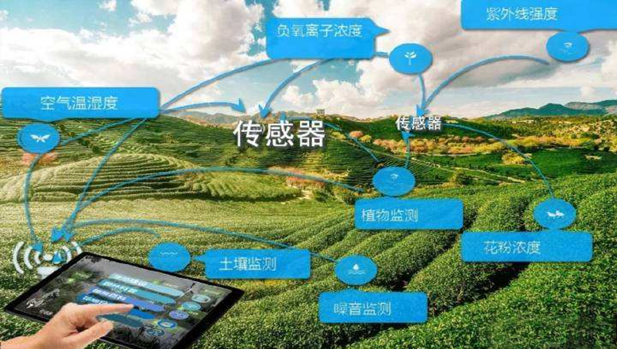 腾渊达智慧园林解决方案,让人与自然更亲近一步