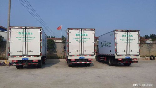 武汉市选派813名第一书记 463支工作队驻村帮扶助力乡村振兴