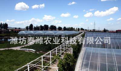 农产大棚 日光温室大棚及套件 优质 大棚 【图】