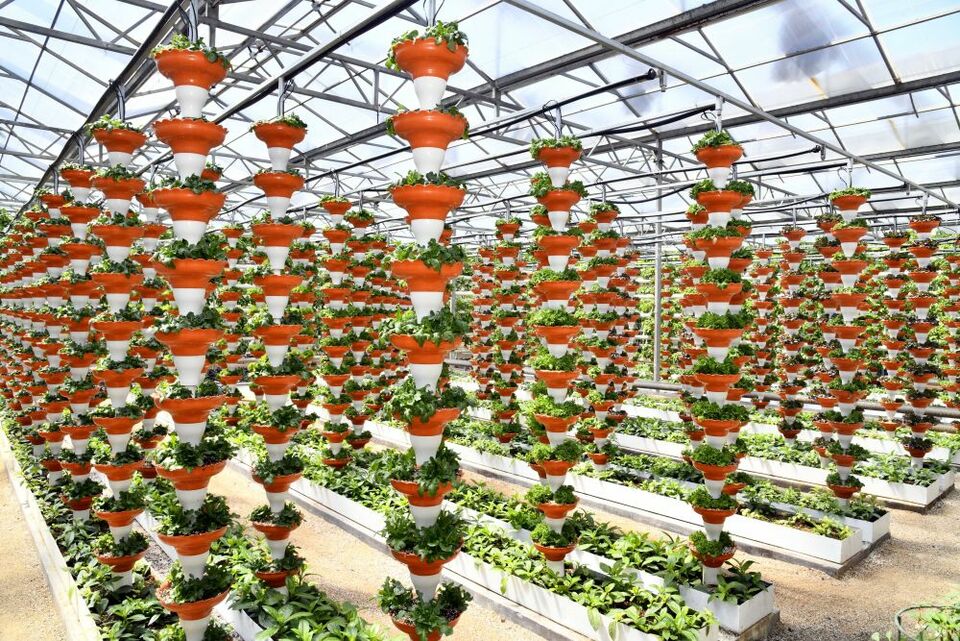 总产值首破万亿元!透视山东农业发展信号-国际在线