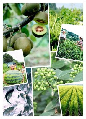 【图说】“硒”望无限!看看江津富硒产业为什么这样火?