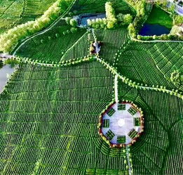 陕西东裕生物科技股份