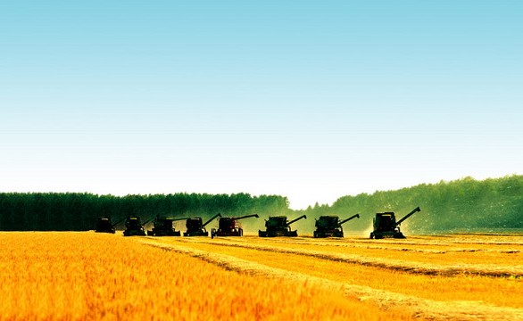 [中研普华]全球粮食价格及我国粮食安全分析