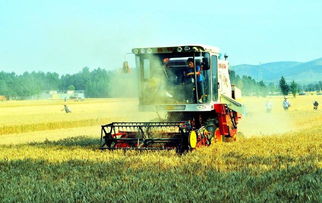 新华网河南 三农新闻