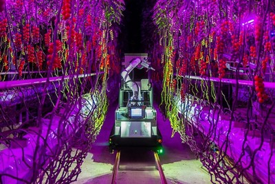 电装与Certhon跨界创新实践 Artemy机器人 开启农业工厂化时代