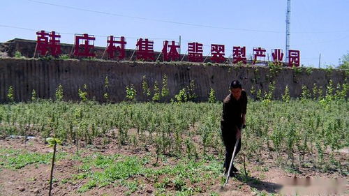 退役不失本色 致富不忘乡邻