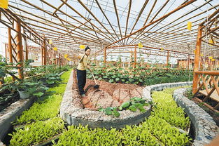 有机农业和有机食品