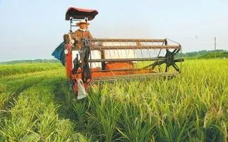 休闲农业与乡村旅游示范应具备的基本条件