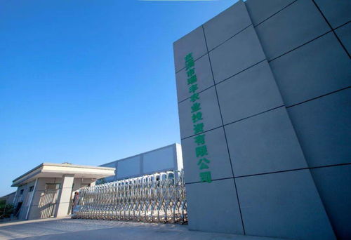 省级金奖 开发区这家公司的精品鲜菇真不错