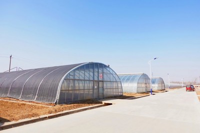 物美植物工厂首次公布数字化未来农业或成发展趋势