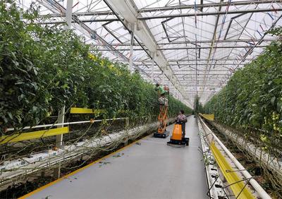 【春耕一线见闻】桐城:数字技术“上山下田” 农产品“出村进城”