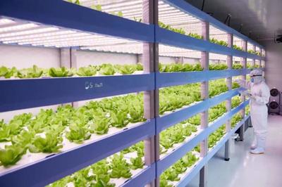 农业新商业:植物工厂+康养农业