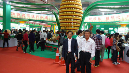 【批发蜜柚天然果园培植品质保障 批发售卖13459609788】价格_厂家_图片 -