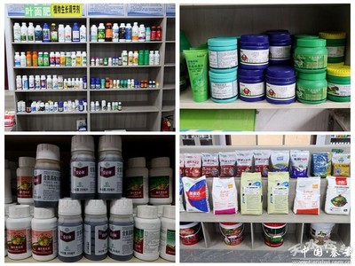 秦安:农资储备充足 春耕不误农时(图)