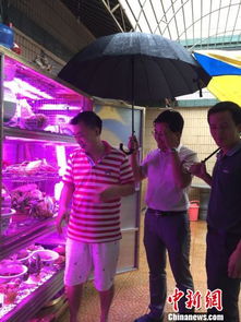 广东普宁创客发明 植物工厂 可降解农产品残留农药