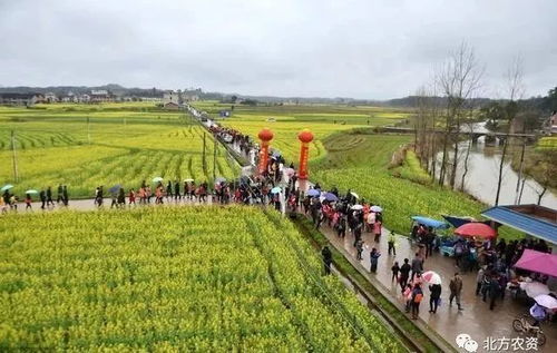 10个农业新玩法,有些人正用这些赚钱