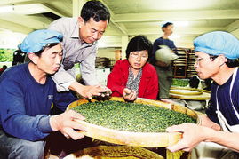 福建力促两岸农业合作