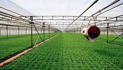 现代农业让城市更美好 党的十八大以来都市现代农业发展综述