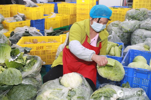 遵义汇川 智慧对接 农产品更畅销