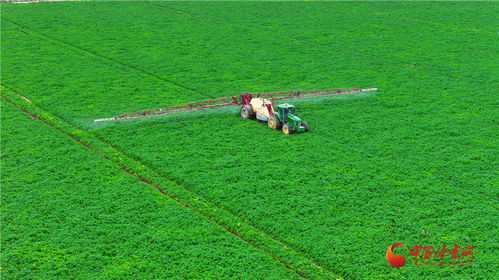 民乐 构建现代农业产业体系 促进农业产业升级
