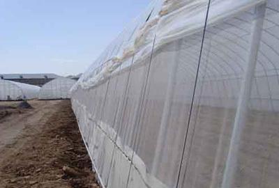 【厂家生产聚乙烯网带包装 防虫网 窗纱网(图)】价格_厂家_图片 -