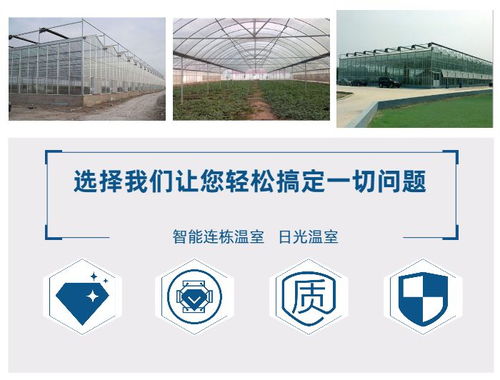 生态餐厅无土栽培厂家 鑫华生态农业 在线咨询 邯郸生态餐厅高清图片 高清大图