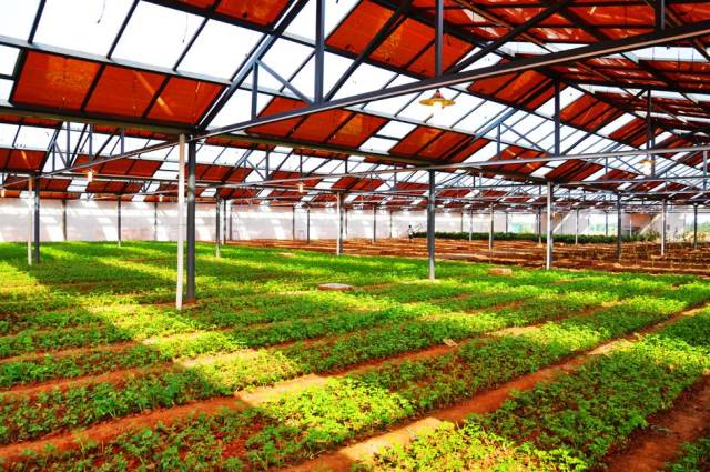 颠覆 | 不只是工厂,工业4.0时代也将颠覆农业