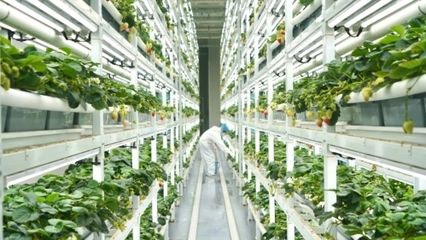 以招商引资实效助推经济高质量发展--静宁县赴江西浙江山东招商考察侧记