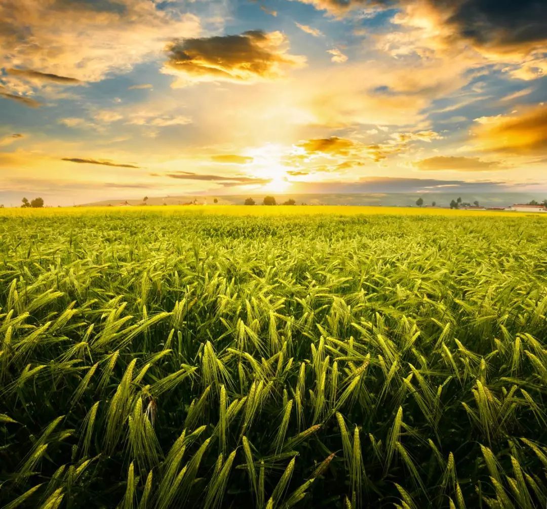 2018年国家现代农业产业园大观(二) 农业科技创新与产业化发展