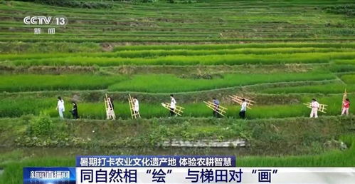 打卡农业文化遗产地 他们把研学活动选在山水林田间