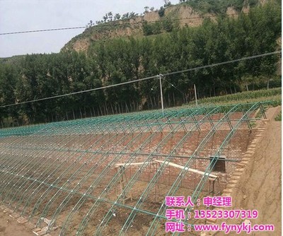 安阳丰源农业与广安钢结构大棚建设 现代农业的坚实支柱