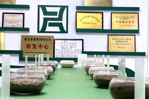 遵义习水 产业振兴跑出致富加速度——农业篇