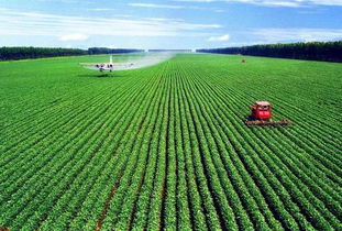 外媒眼中的中国农业改革40年 从温饱不足到全球贡献者的转型