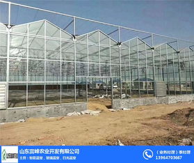 富峰农业 信阳文洛式温室厂家的专业优势与发展前景