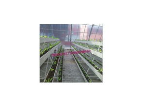 丰产剂2号产品信息及沈阳市农业大学工厂化农业技术服务中心介绍