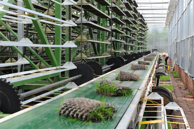 华容县“田保姆”服务助推粮食生产高质量发展