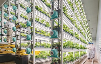 大国强农向新行 现代农业发展的战略路径