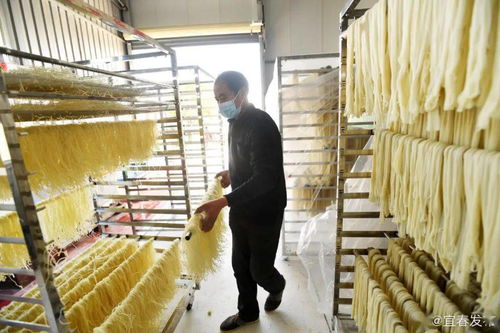 奉新洪兴米粉 农业与文化融合的品牌传奇