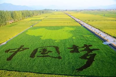 乡村振兴视域下的工农关系变革 改革开放四十年的启示