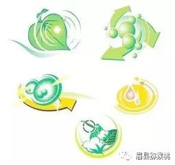 元素农业 为山区发展注入新活力