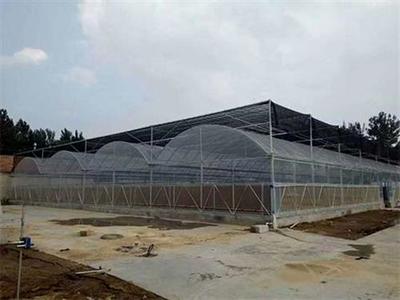 宏阳温室大棚 昆明农业大棚厂家直销的优质选择