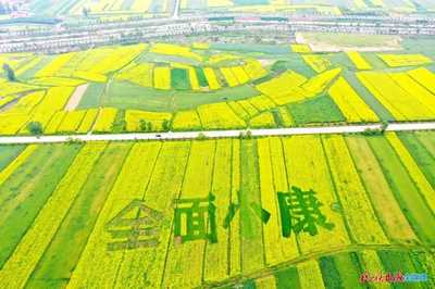 甘肃省:2020年临夏州农业农村工作总结,沃野千里涌春潮!