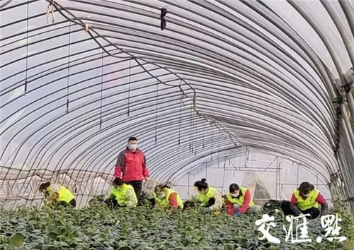 江苏战疫全景图 无锡 预计挽回损失约10万元 锡菜通 今年首单农产品交易落地