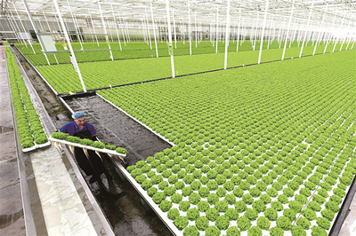 [中央纪委国家监委网站]两会观察丨大国强农向新行