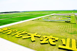 为什么要发展现代农业