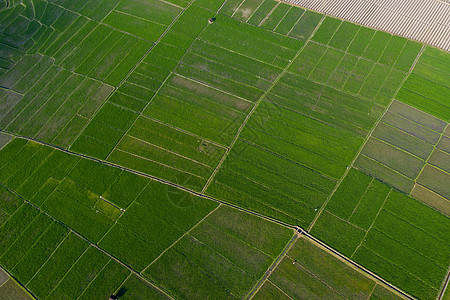 航拍桂林会仙湿地农田 生态农业的诗意画卷