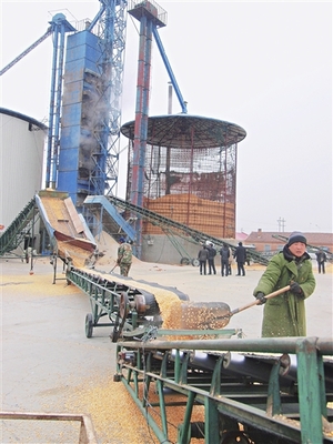 小型稻谷烘干塔厂家与价格概览——神华机械厂家在农业机械领域的优势